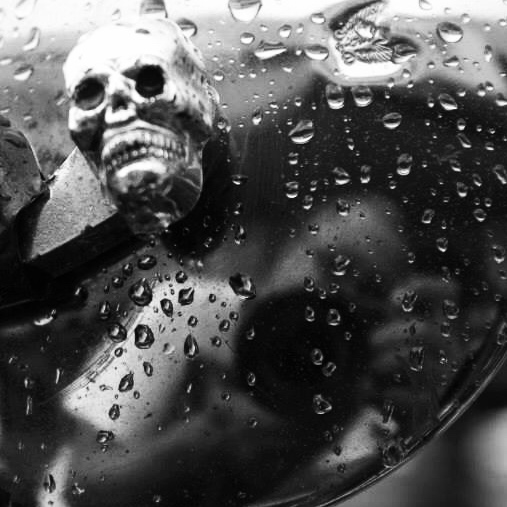 277345BF-E6B2-4FA9-8A2D-0A07C7A76466