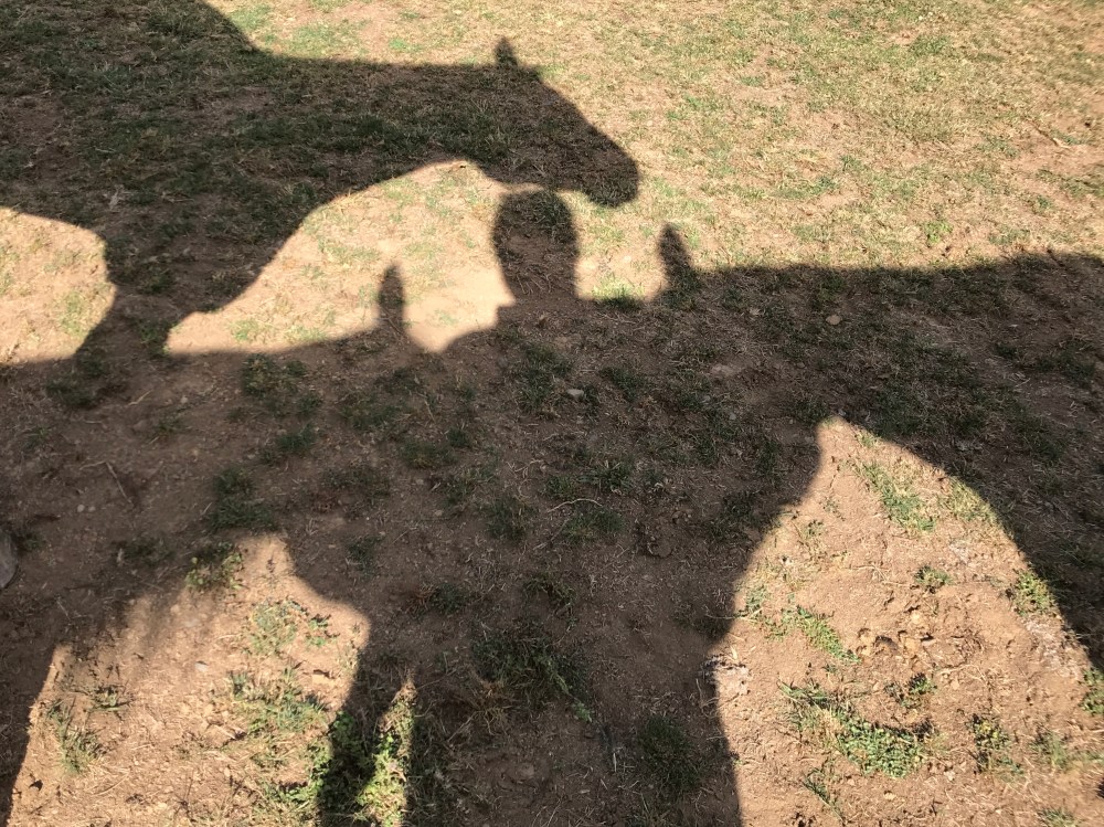 A629E213-9FDC-4EE4-BC15-F1B7C0344857