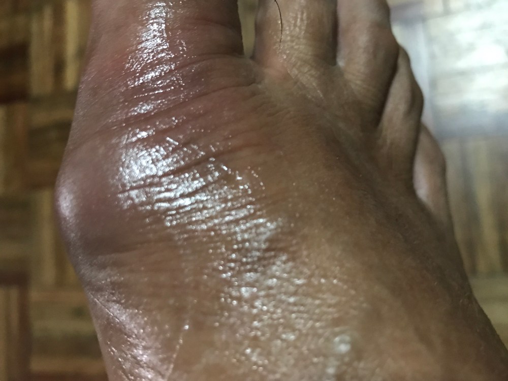 C17FF072-66DC-4D5C-BF2C-BB745E826261