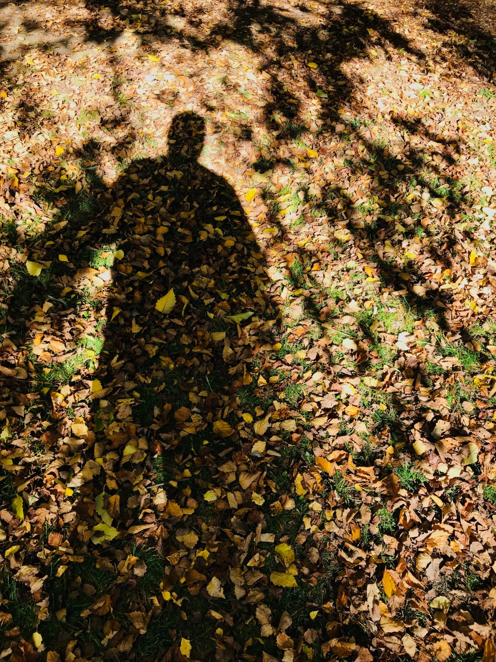 EB23F687-F58D-4126-AACF-78F5E0E35E68