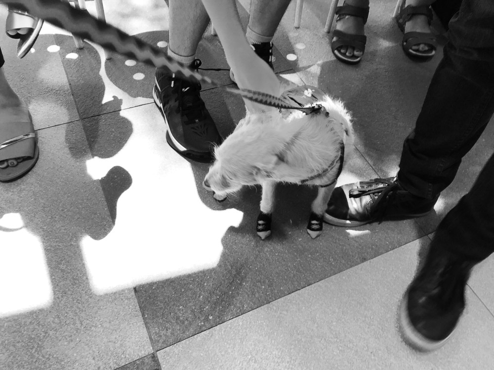 824F5B46-0B74-4E69-90C8-EAF51A7C40A7